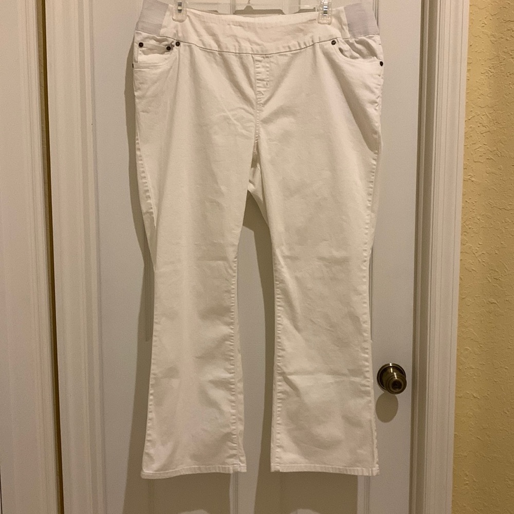 Plus size pants